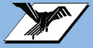 AEROSTAR S.A. logo